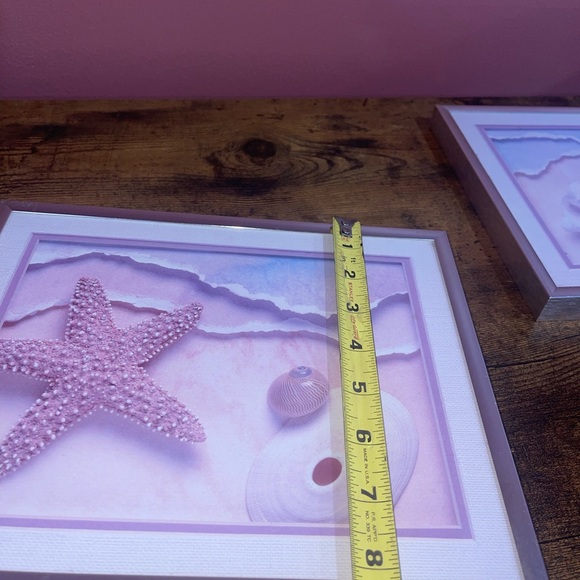 Sea Shell prints frames - Picture 10 of 12